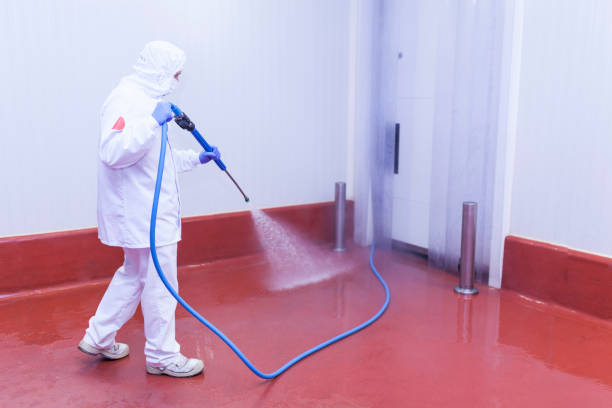 Pre-Holiday Cleaning in Richmond, MO