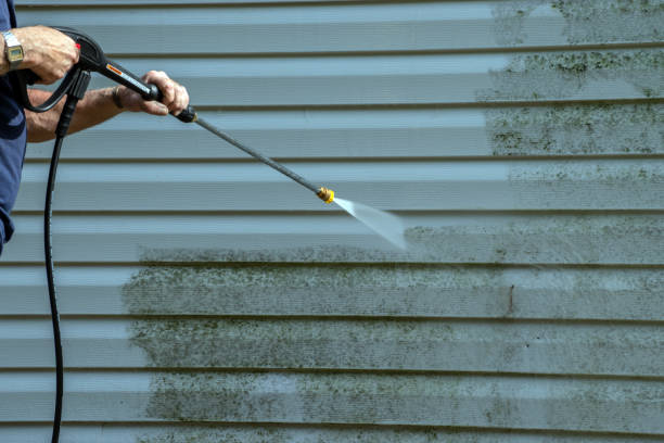Best Roof Washing  in Richnd, MO