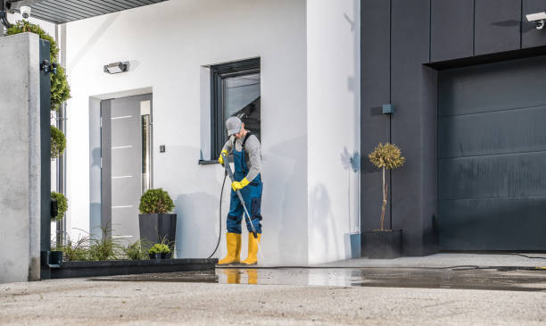 Best Animal Enclosure Cleaning  in Richnd, MO